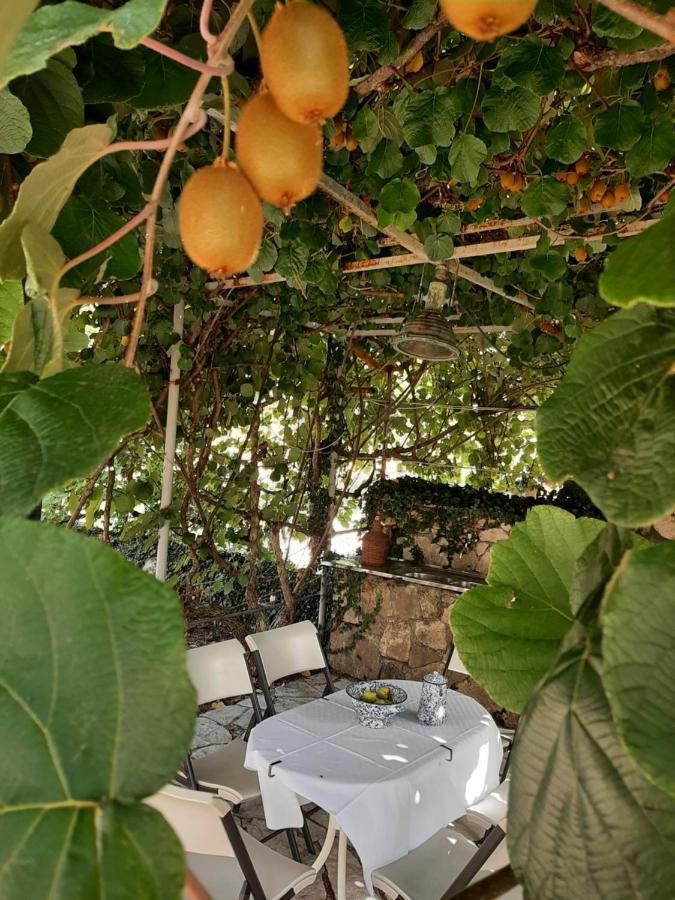 Sailor'S Rustic House Virpazar Exterior foto