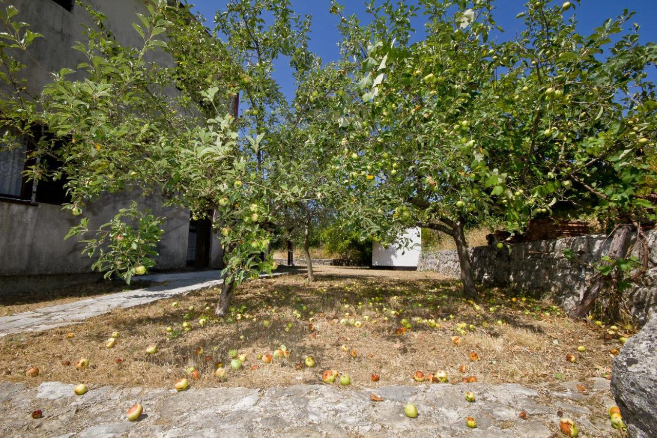Sailor'S Rustic House Virpazar Exterior foto