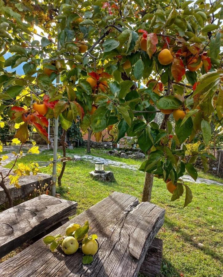 Sailor'S Rustic House Virpazar Exterior foto