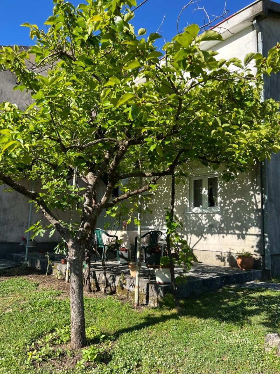 Sailor'S Rustic House Virpazar Exterior foto