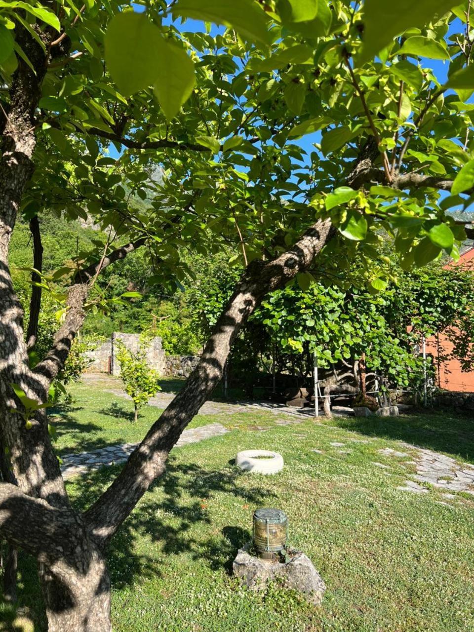 Sailor'S Rustic House Virpazar Exterior foto